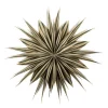 Adventsstjerne Stripe