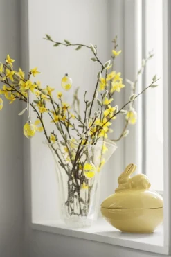 Blomst Forsythia