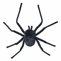 Dekor Edderkopp
