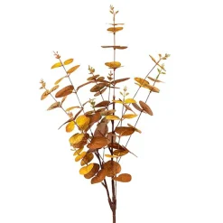 Gren Eucalyptus Oker