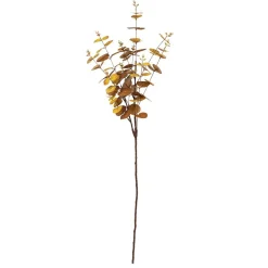 Gren Eucalyptus Oker