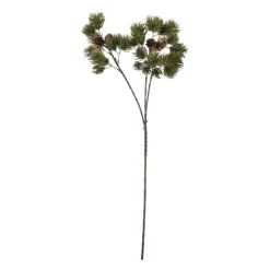 Gren furu 63 cm
