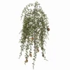 Gren hengende sedertre 80cm
