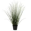 Gress i potte 48cm