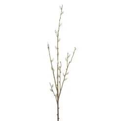 Gåsunger gren