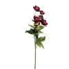 Julerose, burgunder