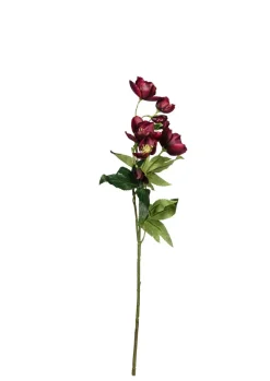 Julerose, burgunder