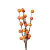 Orange bær i pakke