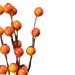 Orange bær i pakke