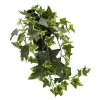 Plante Eføy tofarget