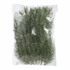 Plante granbar i pose 18 stk