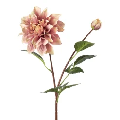 Stilkblomst Dahlia 70 cm rosa