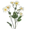 Stilkblomst Ranunkel 69 cm hvit