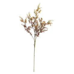 Stilk eucalyptus
